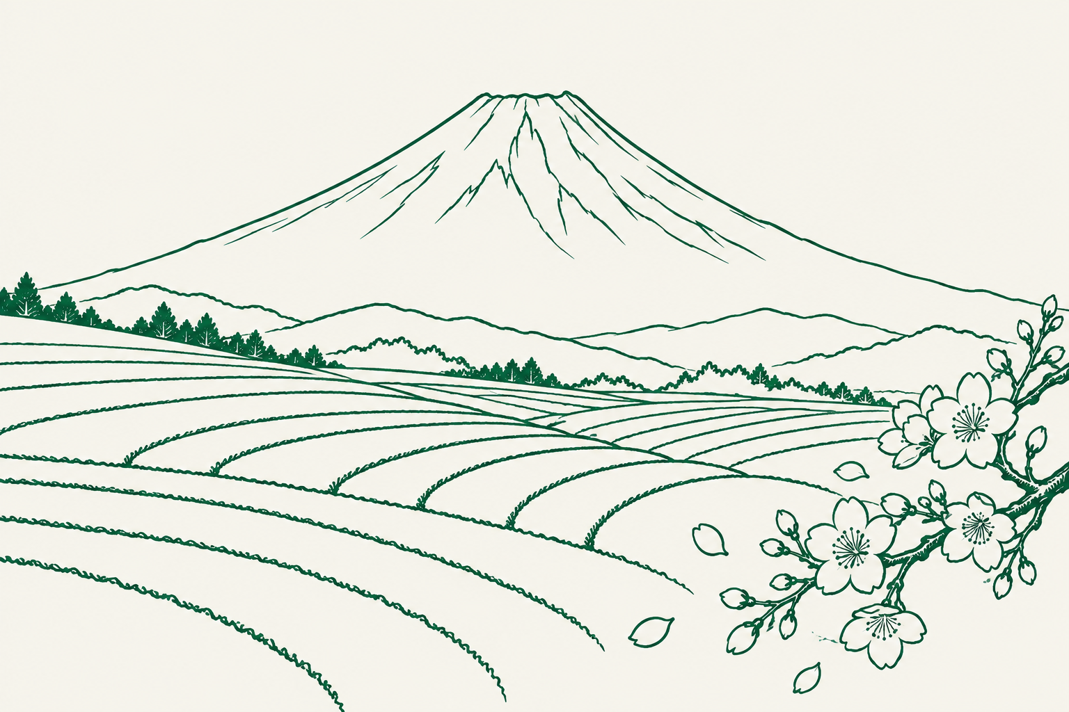 Japanese woodblock-inspired line drawing of Mount Fuji, tea fields and cherry blossoms